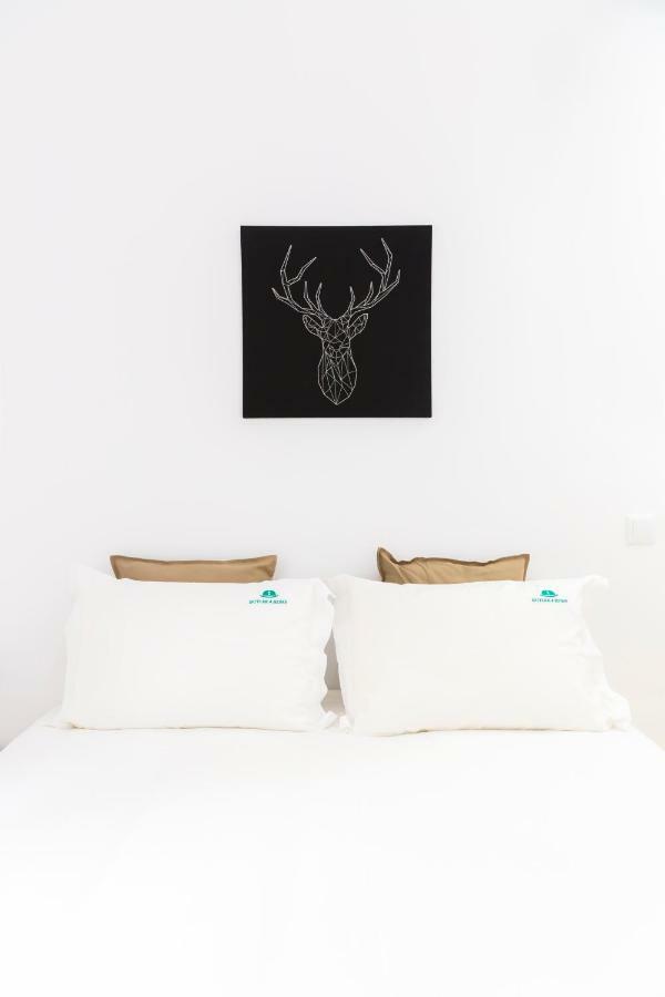 The Trendy Appartement